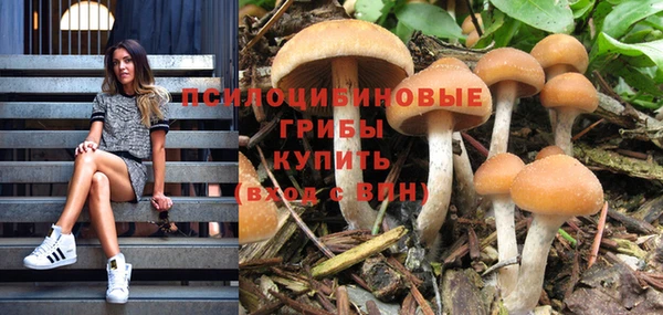 кокс Киренск