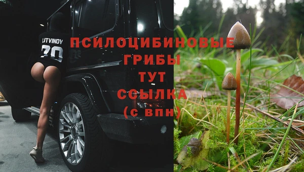 кокс Киреевск